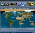 The International Fund for Animal Welfare IFAW